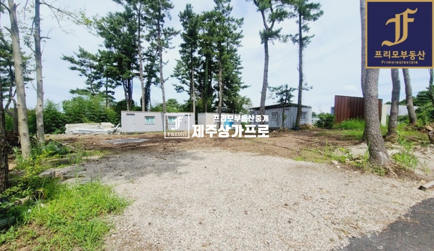 제주 제주시 아라일동 무권리/신축/주차편리/도로변 노출 최고 단독통상가 임대 연세 매물번호 14004 사진 7