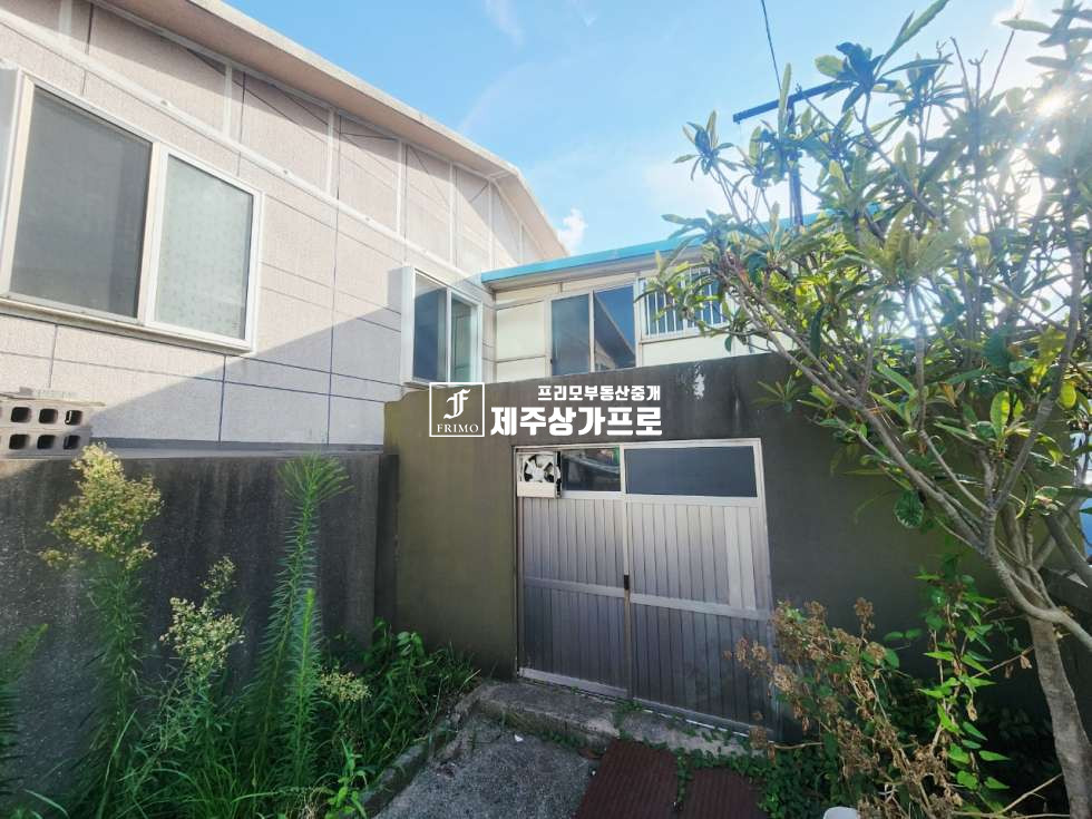 제주 제주시 이도이동 무권리/연삼로 대로변/ 전면 노출좋은/인테리어, 광고 사무실 추천/1층 상가 임대 연세 매물번호 14519 사진 3