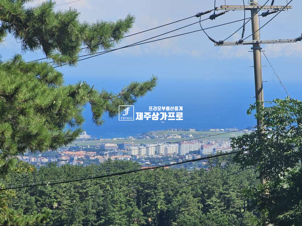 제주 제주시 애월읍 광령리 정원이 이쁜 /상가 통임대 연세 매물번호 14555 사진 11