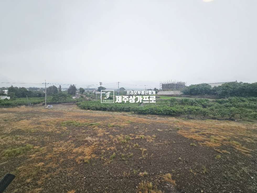 제주 제주시 애월읍 하귀1리 981-3 (파스텔빌리지) 107동 파스텔빌리지/다세대/즉시입주 매매 매물번호 15501 사진 11
