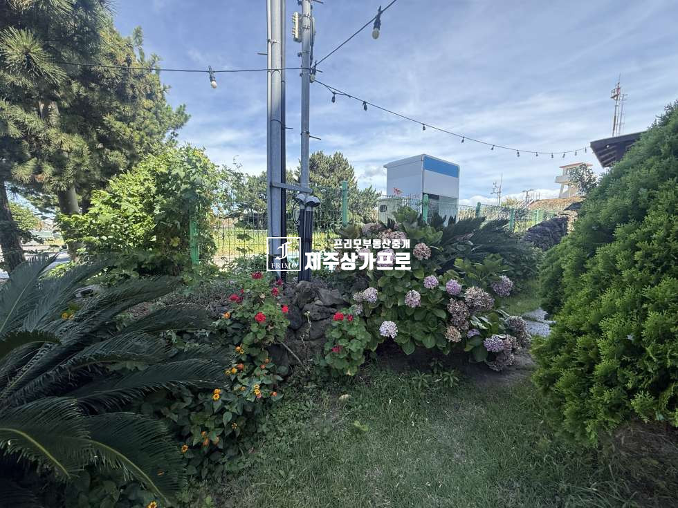 제주 제주시 용담삼동 용담동 주차장 넓은 뷰가 예쁜 수익형까페 연세 매물번호 15739 사진 10