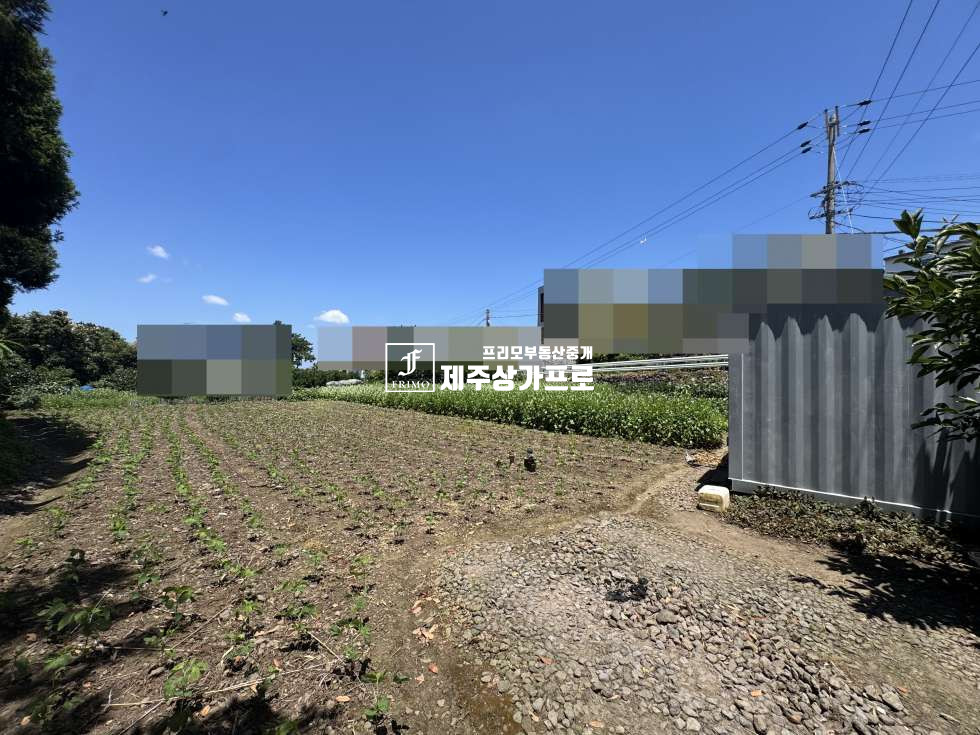 제주 제주시 노형동 제주시 노형동 모양좋은 코너자리 토지매매/인근시세대비 저렴한매가/단독주택, 다가구주택부지로 추천 매매 매물번호 15750 사진 3