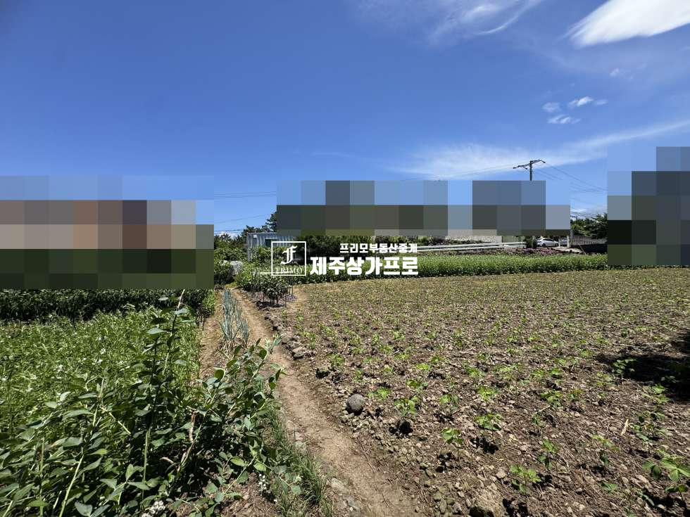 제주 제주시 노형동 제주시 노형동 모양좋은 코너자리 토지매매/인근시세대비 저렴한매가/단독주택, 다가구주택부지로 추천 매매 매물번호 15750 사진 5