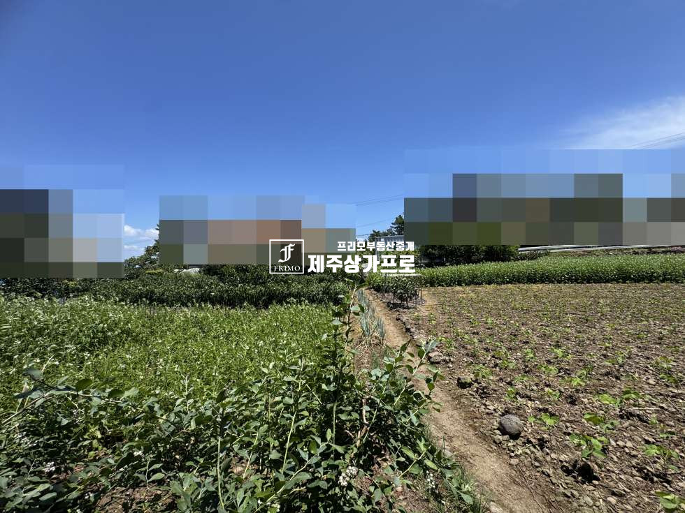 제주 제주시 노형동 제주시 노형동 모양좋은 코너자리 토지매매/인근시세대비 저렴한매가/단독주택, 다가구주택부지로 추천 매매 매물번호 15750 사진 6