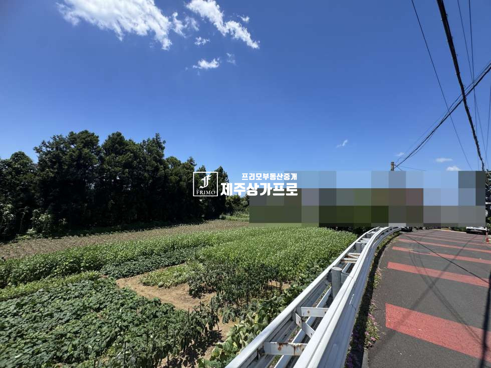 제주 제주시 노형동 제주시 노형동 모양좋은 코너자리 토지매매/인근시세대비 저렴한매가/단독주택, 다가구주택부지로 추천 매매 매물번호 15750 사진 8