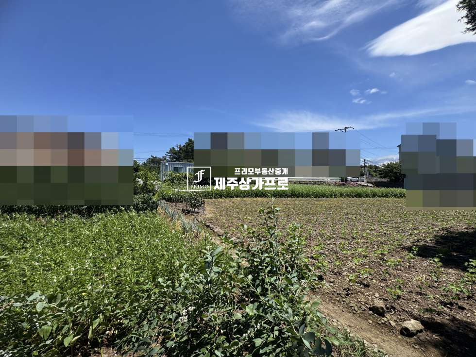 제주 제주시 노형동 제주시 노형동 모양좋은 코너자리 토지매매/인근시세대비 저렴한매가/단독주택, 다가구주택부지로 추천 매매 매물번호 15750 사진 9