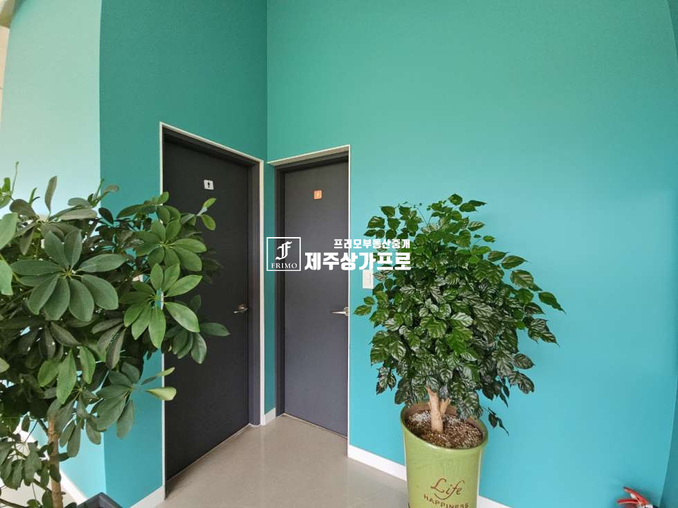 제주 제주시 애월읍 장전리 ★무권리~~!!/시원하고 넓은 힐링뷰의 예쁜 잔디와 그네/51평/스튜디오, 카페 추천/상가 임대★ 연세 매물번호 15161 사진 5