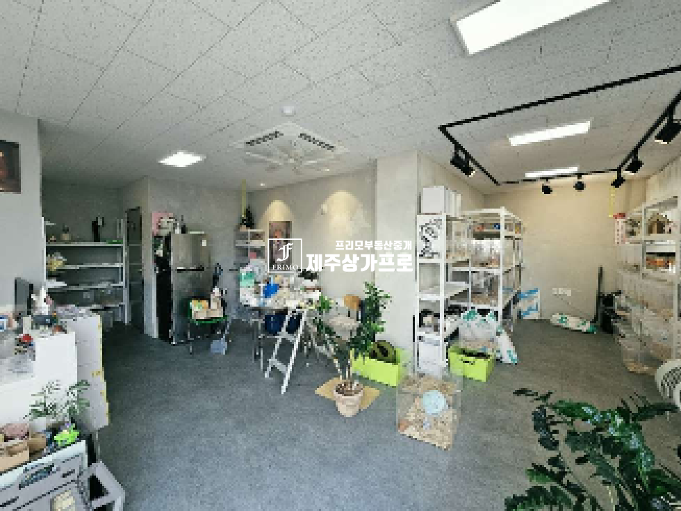 제주 제주시 노형동 월랑초/1층/무권리 상가/ 월세 매물번호 12583 사진 1