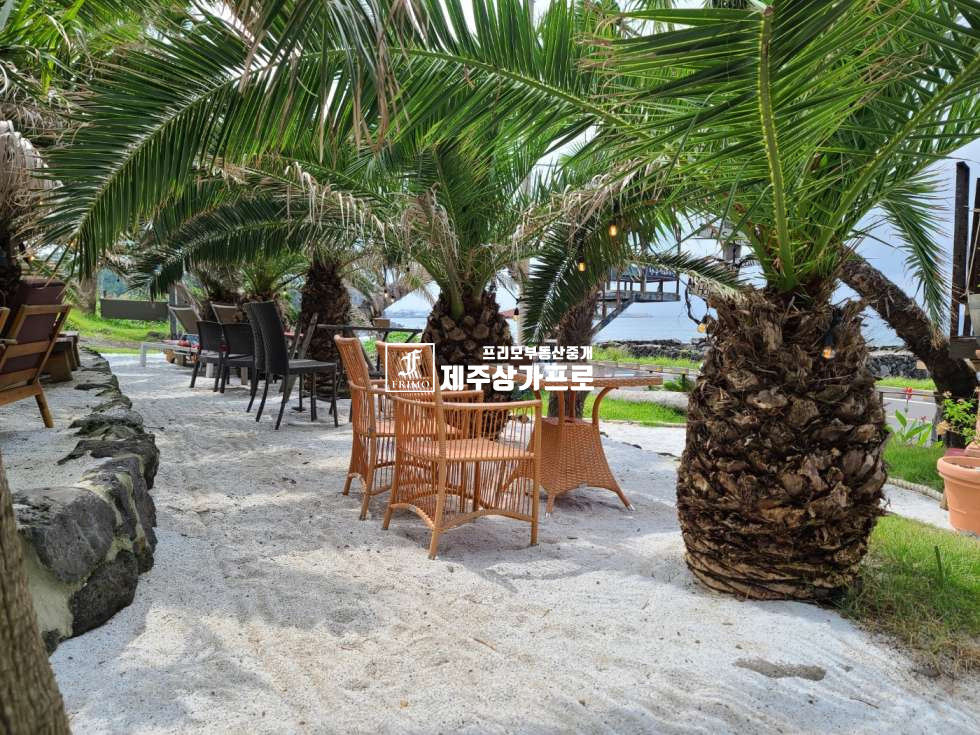 제주 제주시 애월읍 고내리 애월해안도로/1층 야자수 운치있는 휴양지 느낌의 카페+2층 잘 구획된 사무실 /통임대 연세 매물번호 12977 사진 3