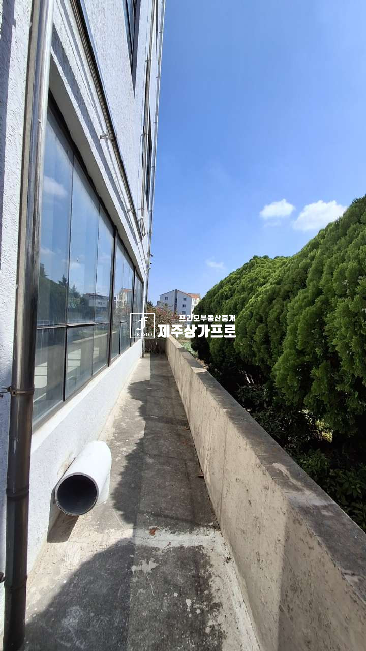 제주 제주시 오라삼동 무권리/ 공항인근 서광로 대로변 1층 상가 임대 연세 매물번호 15964 사진 6
