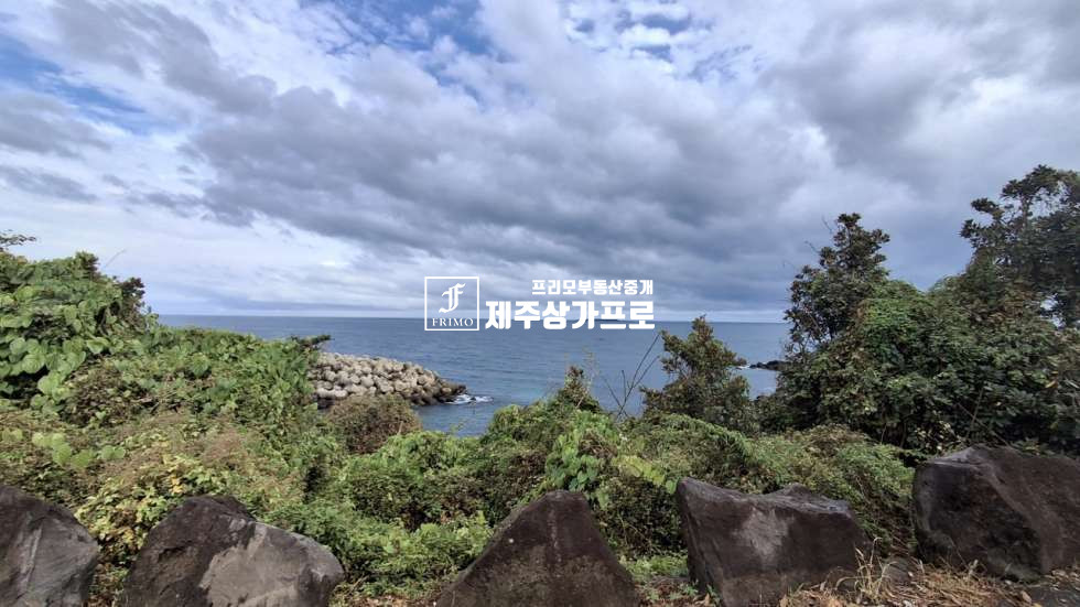 제주 서귀포시 하효동 쇠소깍 인근으로 바로앞 6코스 올레길낀 토지 ( 바다뷰 ) 매매 매매 매물번호 16030 사진 4