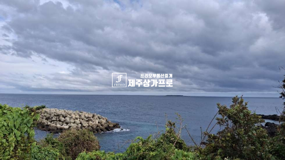 제주 서귀포시 하효동 쇠소깍 인근으로 바로앞 6코스 올레길낀 토지 ( 바다뷰 ) 매매 매매 매물번호 16030 사진 5