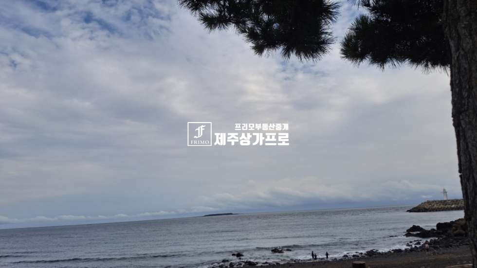 제주 서귀포시 하효동 쇠소깍 인근으로 바로앞 6코스 올레길낀 토지 ( 바다뷰 ) 매매 매매 매물번호 16030 사진 6