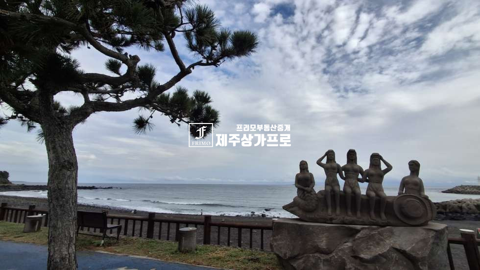 제주 서귀포시 하효동 쇠소깍 인근으로 바로앞 6코스 올레길낀 토지 ( 바다뷰 ) 매매 매매 매물번호 16030 사진 7