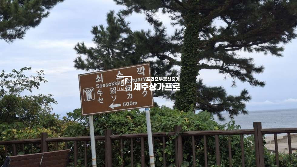 제주 서귀포시 하효동 쇠소깍 인근으로 바로앞 6코스 올레길낀 토지 ( 바다뷰 ) 매매 매매 매물번호 16030 사진 8